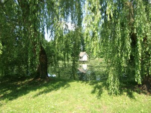 Spreewald 2016