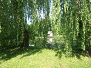 Spreewald 2016