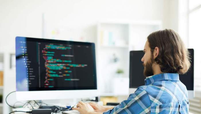 AdobeStock 215707554 Kleiner2 IT-System-Manager