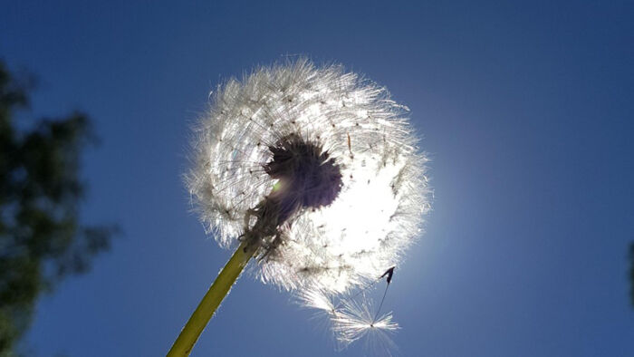 Ein Auslandspraktikum während der Ausbildung ist die Möglichkeit für Sie, wertvolle Erfahrungen zu sammeln, die über den normalen Ausbildungsalltag hinausgehen. Während Auslandssemester in der Schulzeit oder im Studium keine Seltenheit sind, werden Praktika im Ausland für Auszubildende noch zu wenig genutzt – obwohl sie echten Mehrwert mit sich bringen.