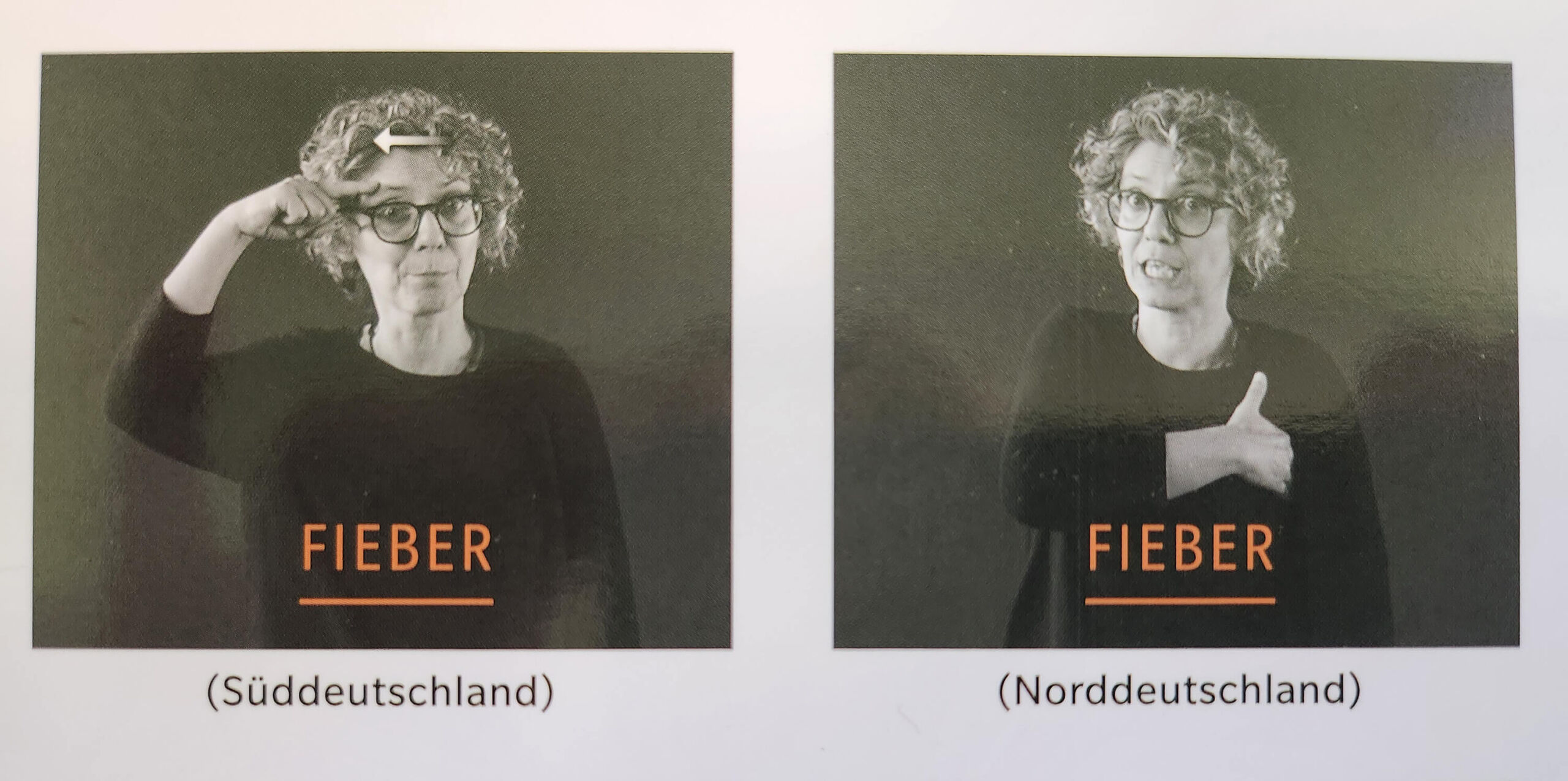 Das Wort Fieber In DGS Als Beispiel