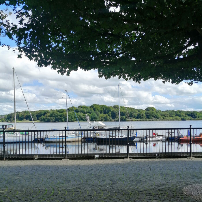Fluss Foyle Derry