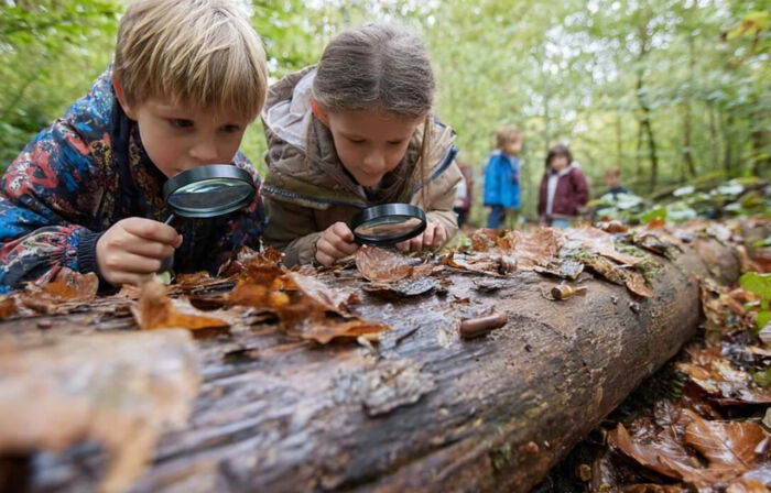 Wie funktioniert echtes Zuhören in Kita & Pädagogik? Entdecken Sie die Methoden von Carl Rogers für Kommunikation auf Augenhöhe