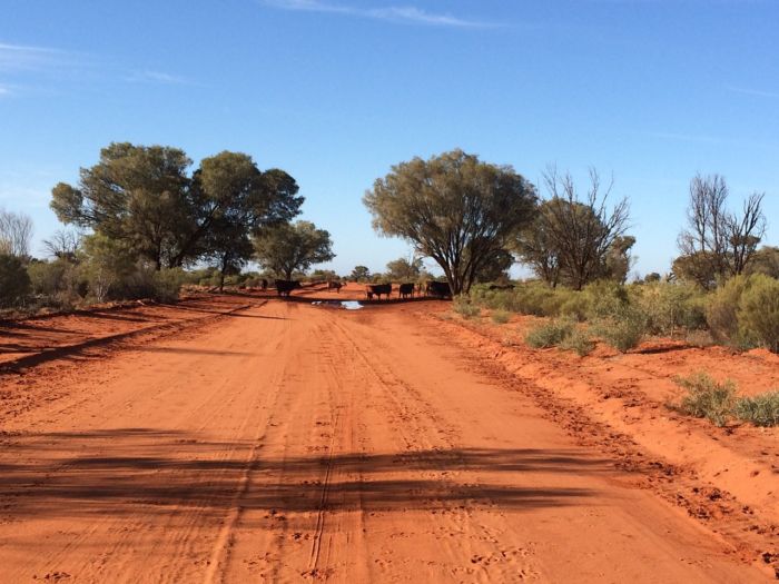 Unbefestigte Straße in Australien